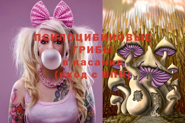 МДПВ Ладушкин