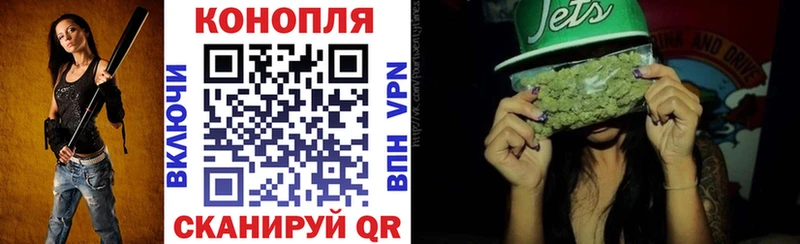Купить где  Шатура  Каннабис Ganja 